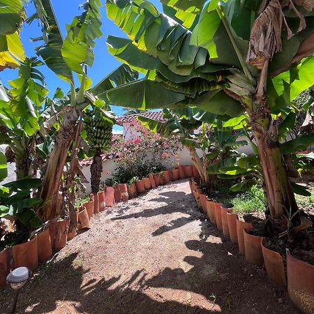 Hotel Florre Blossom Barichara Exterior photo
