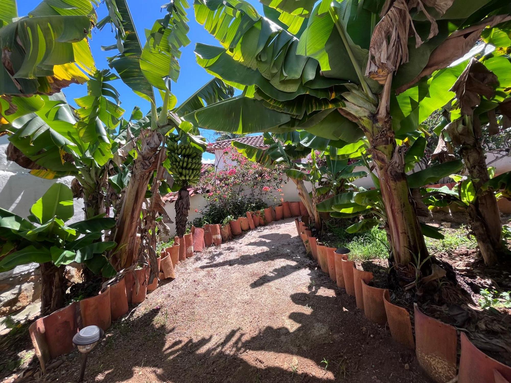 Hotel Florre Blossom Barichara Exterior photo